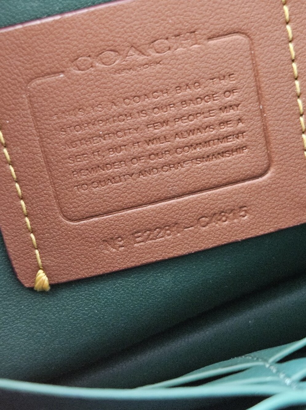Coach Hayden Foldover Crossbody Wallet Green Pebbled Leather + Gold Chain &Dusty - Picture 7 of 15